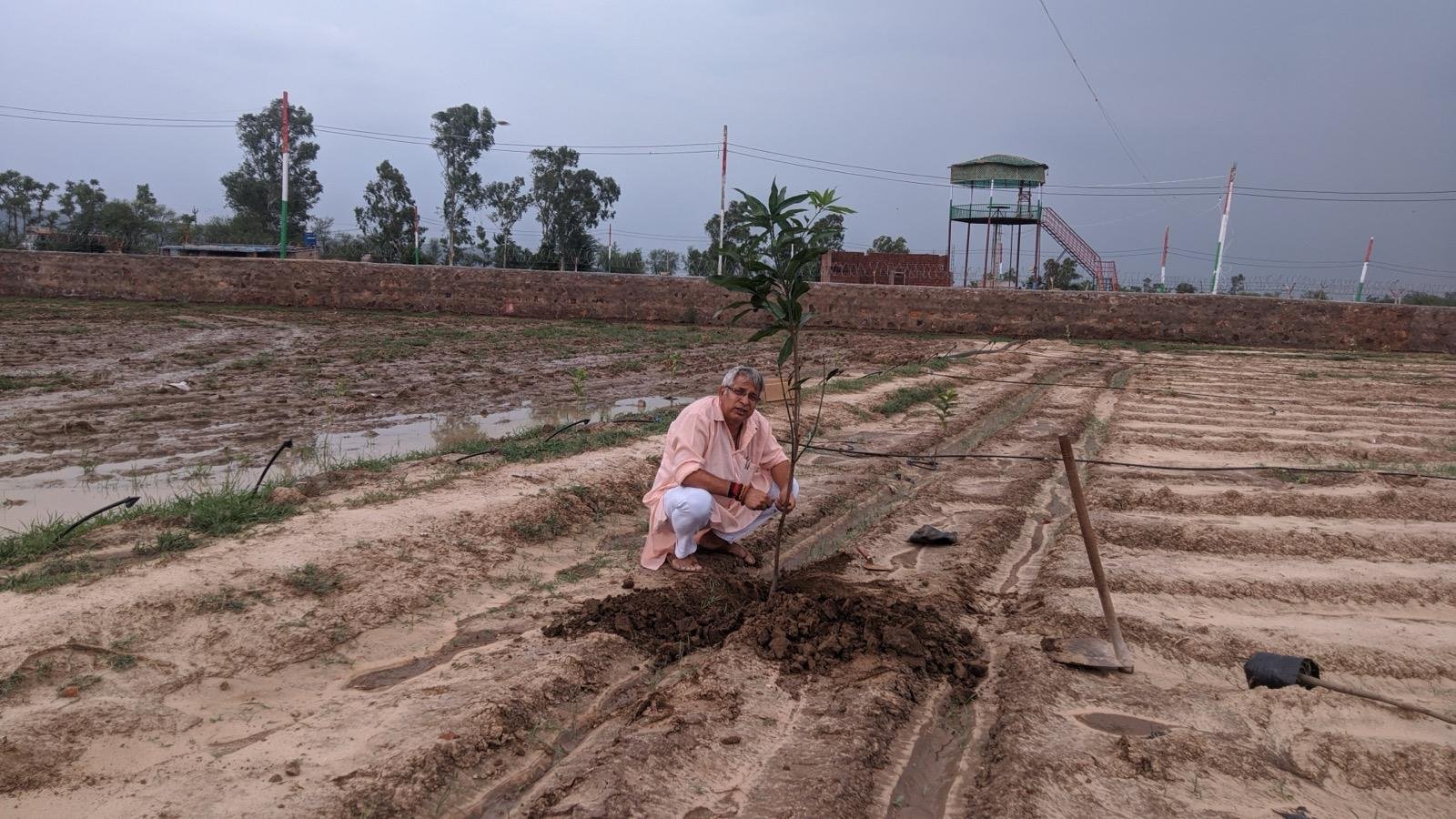 Plantation